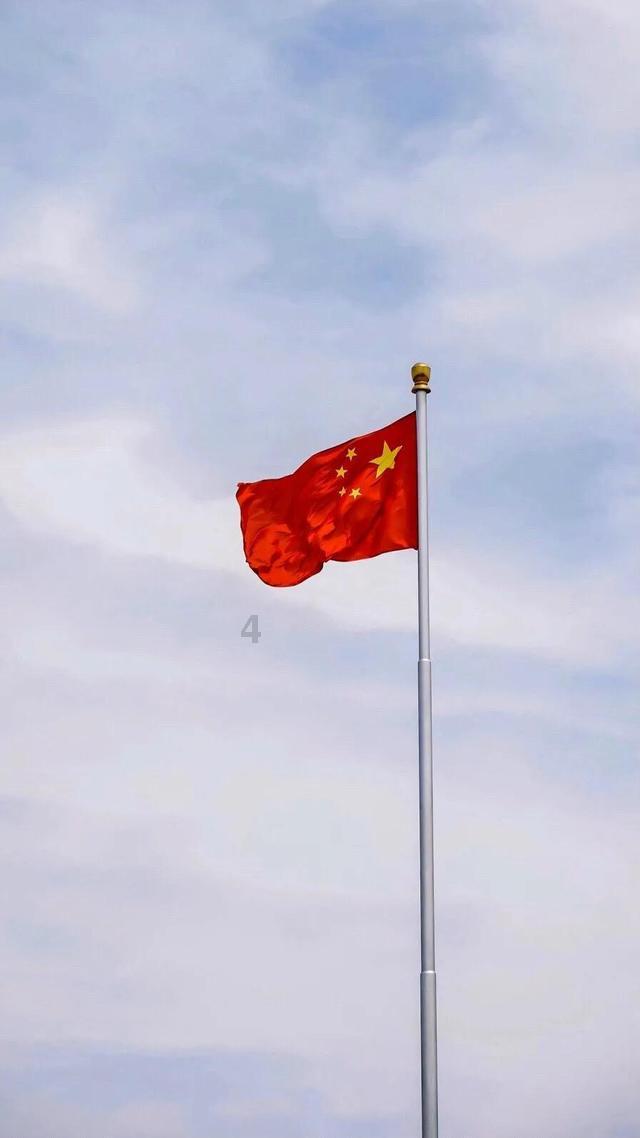 动物狂欢夜